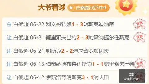 深度解析独家联赛战绩详览：总得分与胜负全纪录